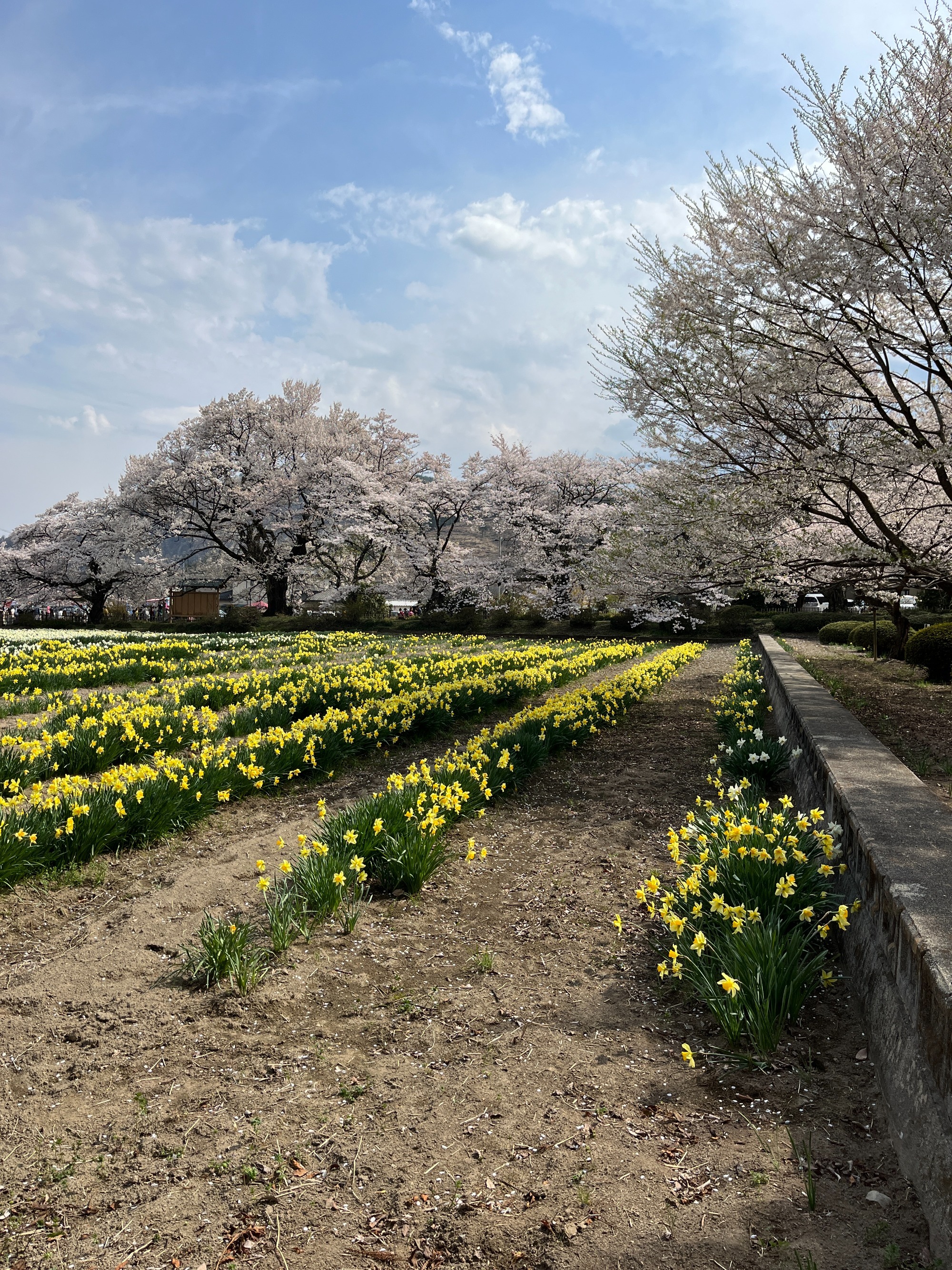 2023年1月25日　山梨県北杜市