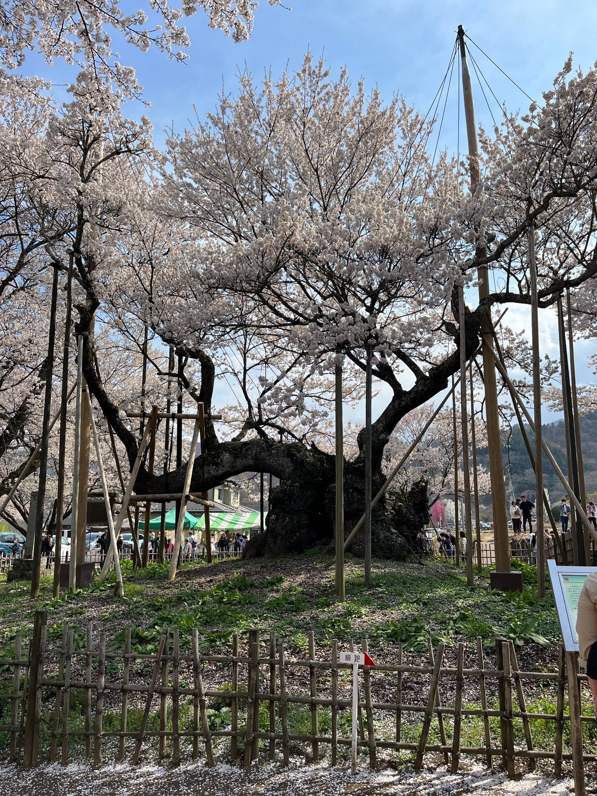 2023年1月25日　山梨県北杜市
