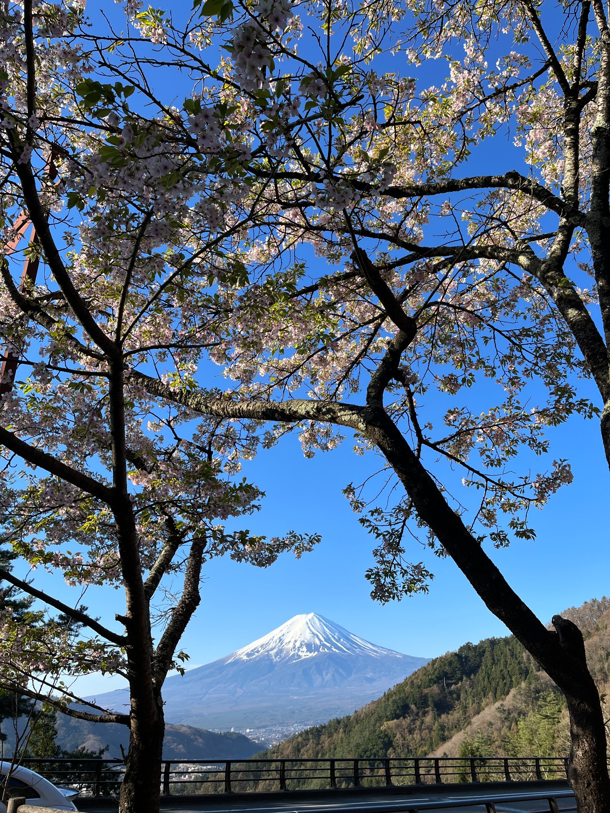 2023年2月3日　　山梨県北杜市　中庭ウッドデッキ工事