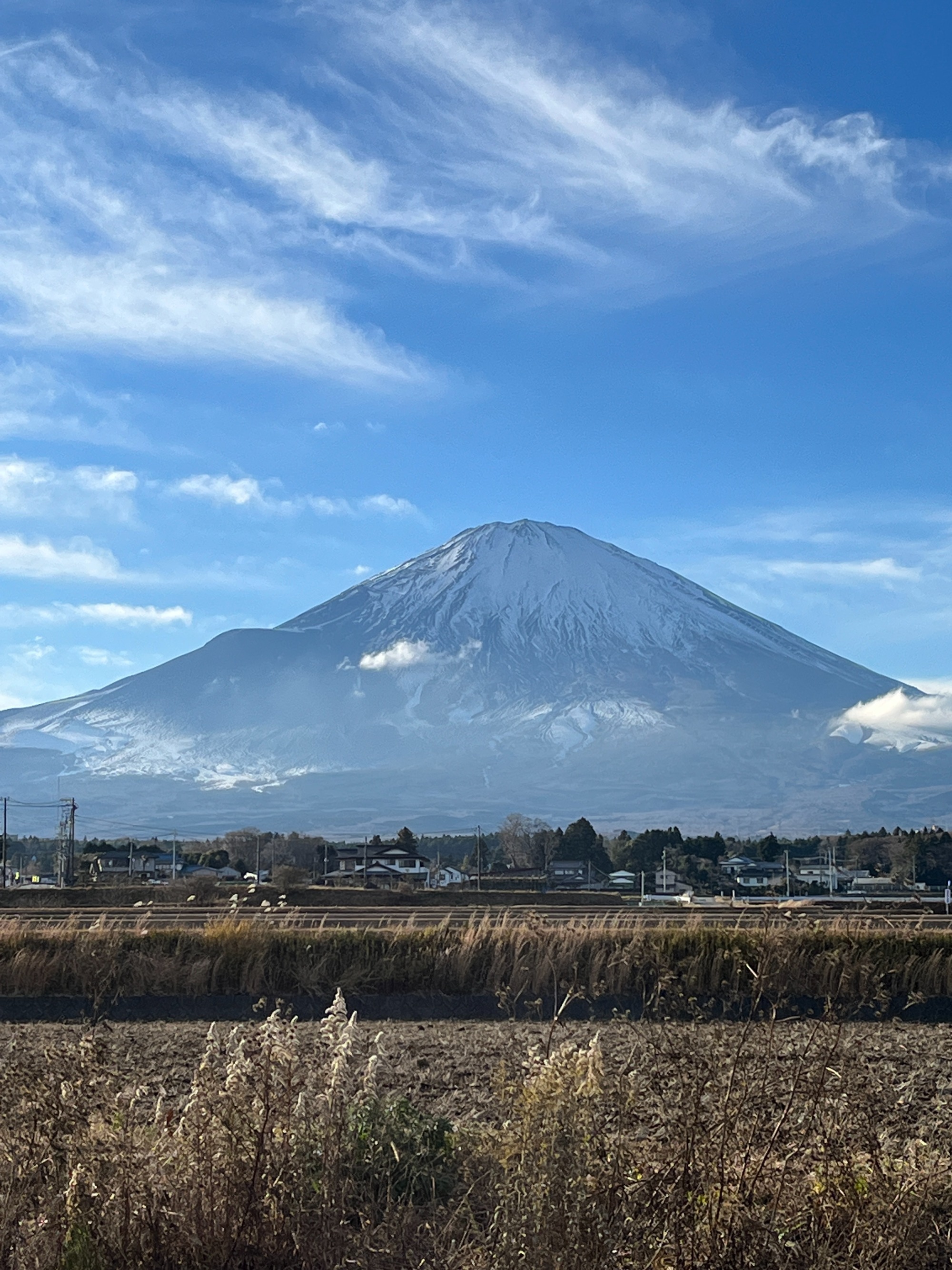 2023年2月3日　　山梨県北杜市　中庭ウッドデッキ工事